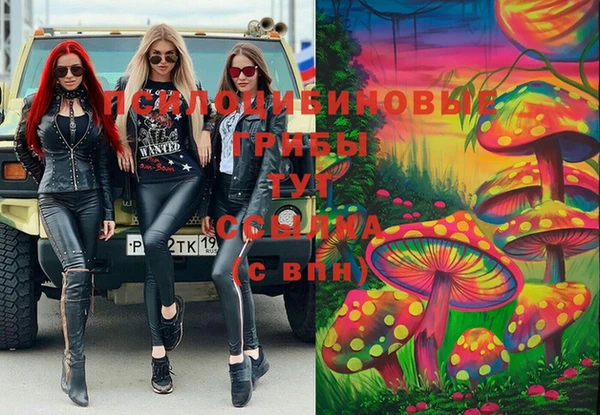 ECSTASY Белоозёрский