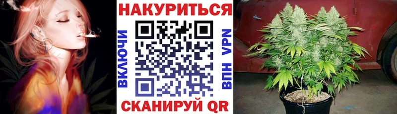 Купить закладки  Николаевск  Бошки Шишки VHQ 